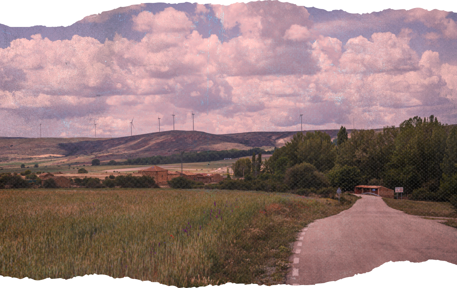 Fondo de papel rasgado