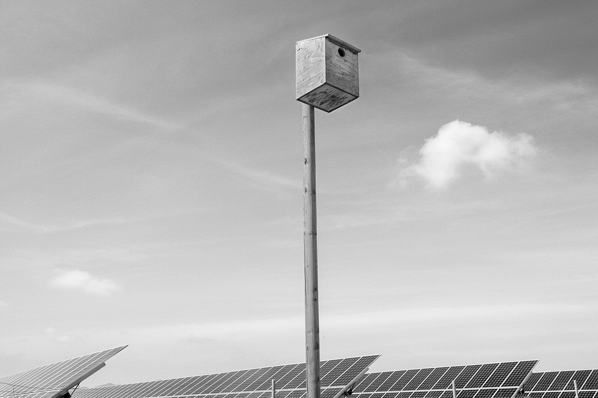 Imagen El Legado Galeria