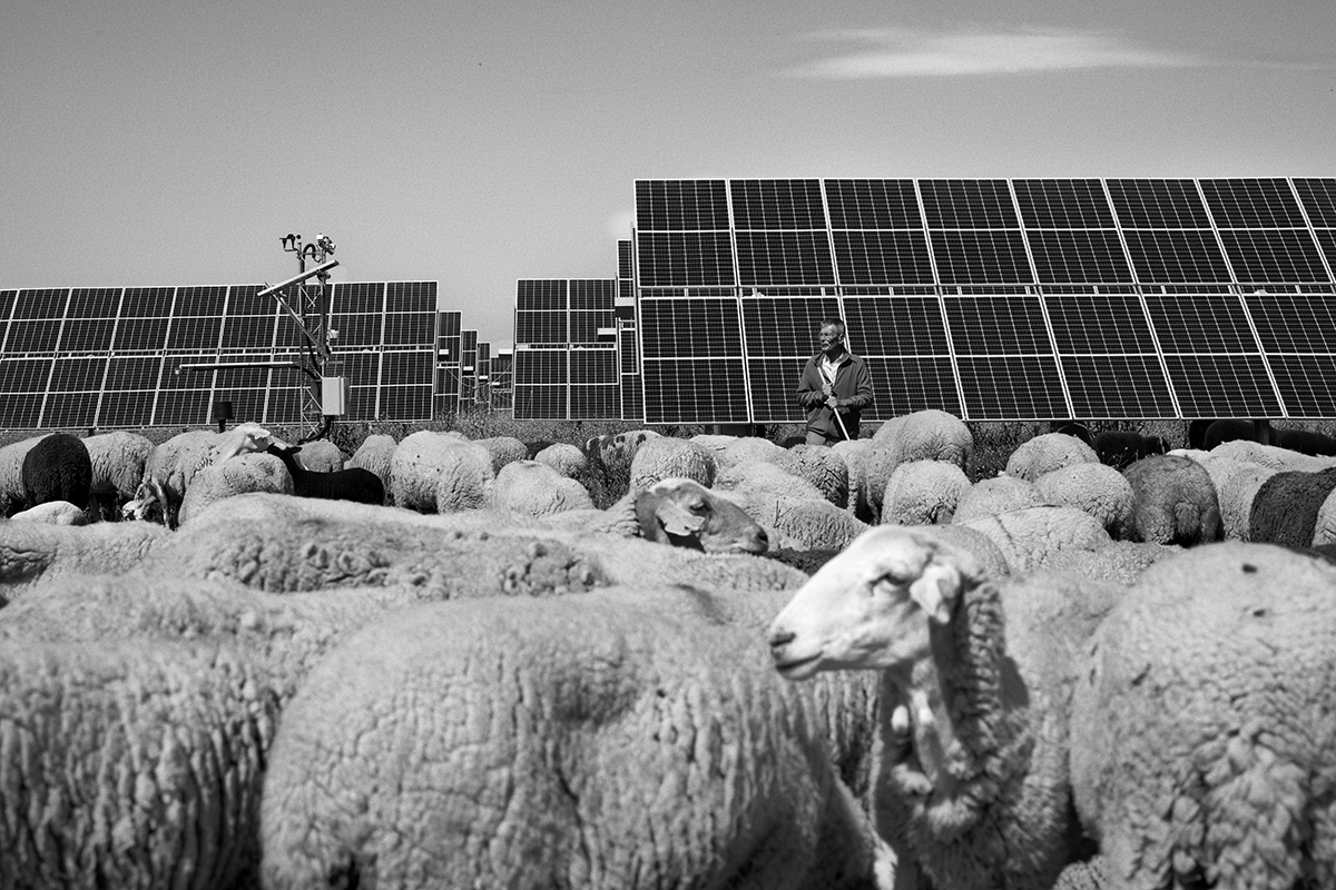 Imagen El Legado Galeria