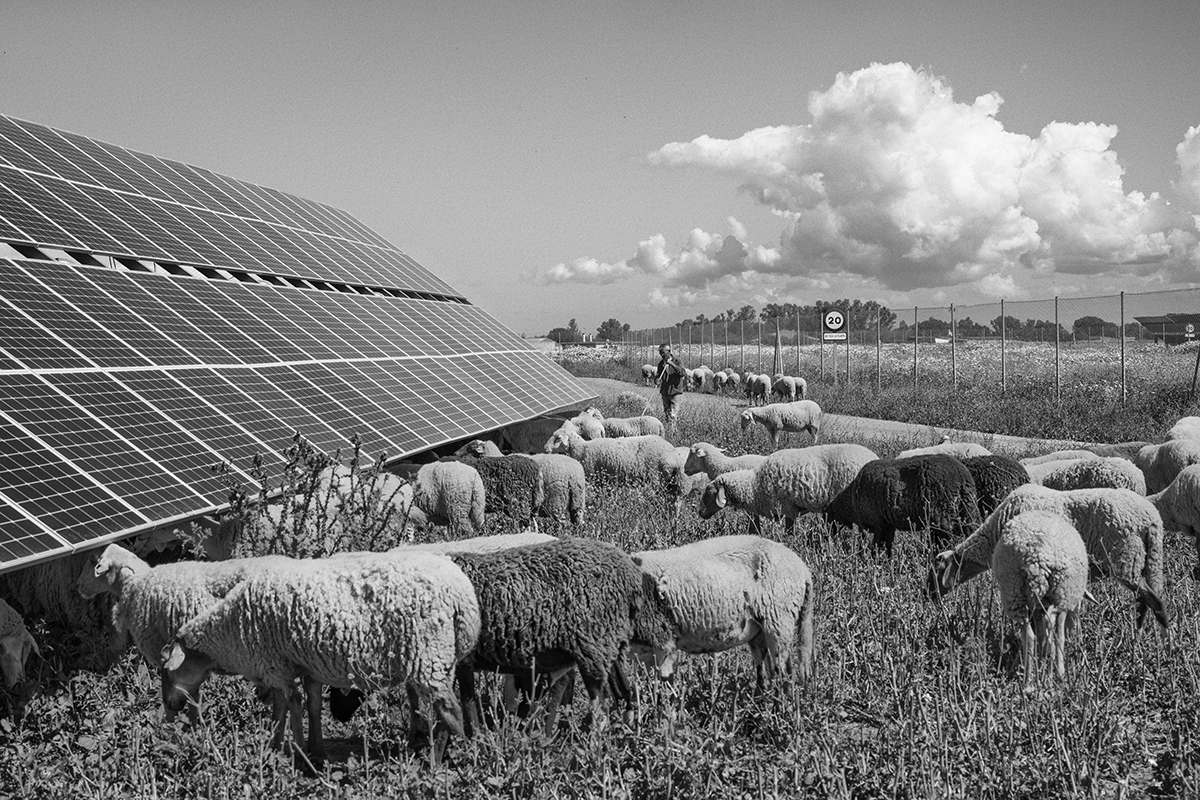 Imagen El Legado Galeria