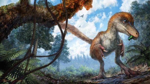 La ilustración representa un pequeño celurosaurio acercándose a una rama recubierta de resina en el suelo del bosque
