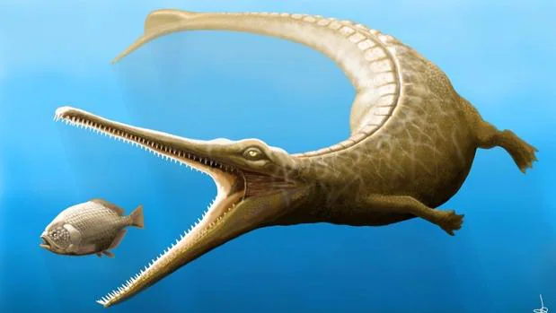 Representación de «M. fitosi». Tenía patas, una aleta caudal y dientes poderosos para capturar presas