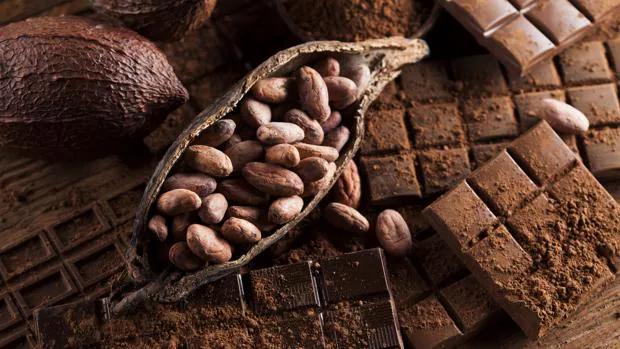 El chocolate proviene del Ã¡rbol del cacao