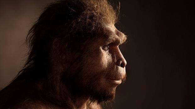 El Homo erectus, un «buen salvaje» a pesar de ser cazador
