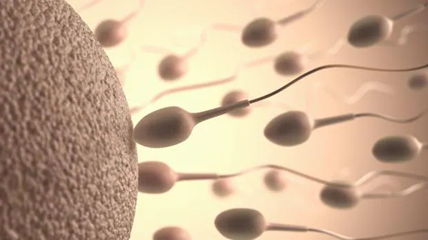 Solo uno entre millones de espermatozoides fecunda al Ã³vulo