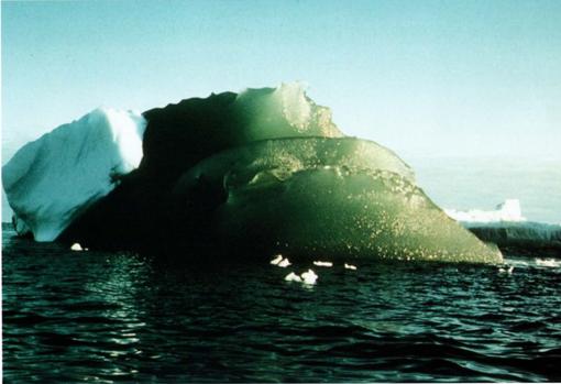 Un iceberg verde avistado en el mar de Weddell, en la Antártida, el 16 de febrero de 1985