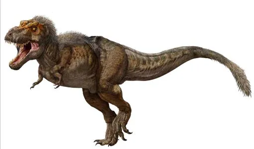 tirannosaurus-rex-U308348800276D-U302141907889S0G-510x300@abc.jpg
