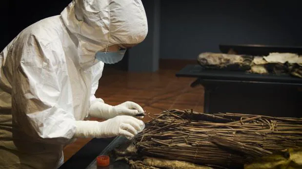 Toma de muestras en momias aborÃ­genes en El Museo Canario (Gran Canaria)