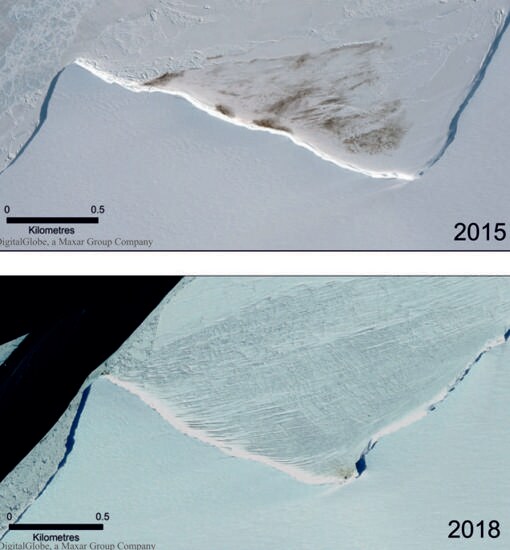 Imágenes satelitales que muestran la reducción en el tamaño de la colonia de la bahía de Halley en 2018 en comparación con 2015. Las marcas oscuras muestran el guano pingüino, y los parches muy densos son los pingüinos en sí.