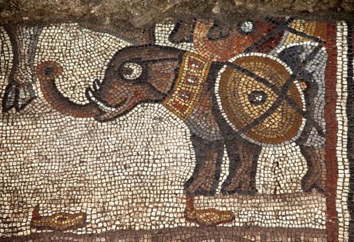Mosaico del Elefante: ¿del ejército de Alejandro, de los Asmoneos?