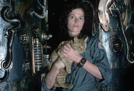 Sigourney Weaver y el gato Jonesy eran los dos grandes novatos del reparto de «Alien»