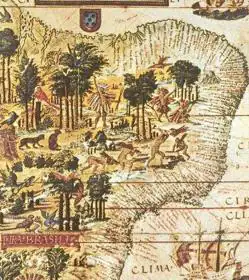 Mapa de Brasil, colonia portuguesa en América del Sur. 1519.