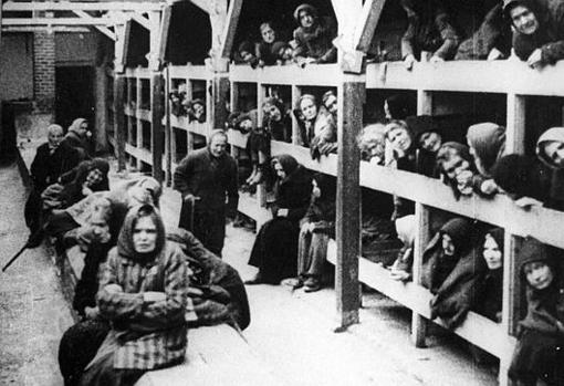 Prisioneros del campo de concentración de Auswitch