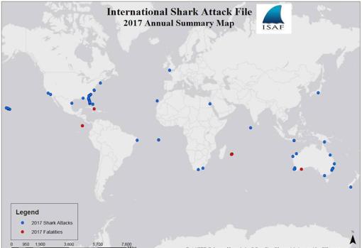 Mapa de los ataques de tiburones a personas en 2017