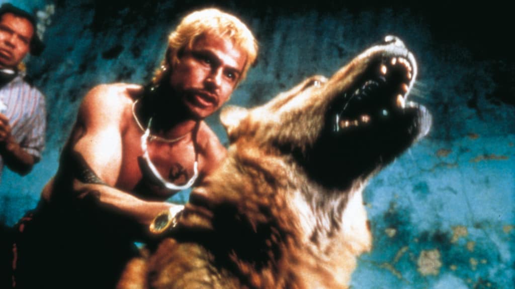 perros (2000) Película - PLAY Cine