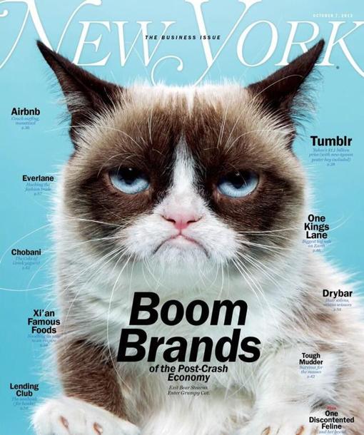 new-york-magazine-grumpy-cat-kALI-U302461742196zR-510x610@abc.jpg