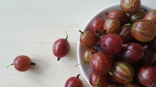 La uva espina es una baya menos conocida, pero muy sabrosa
