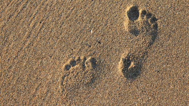 footprint-kt0G--660x372@abc.jpg