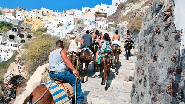 La cruel vida de los burros de Santorini, en manos de la conciencia de los turistas