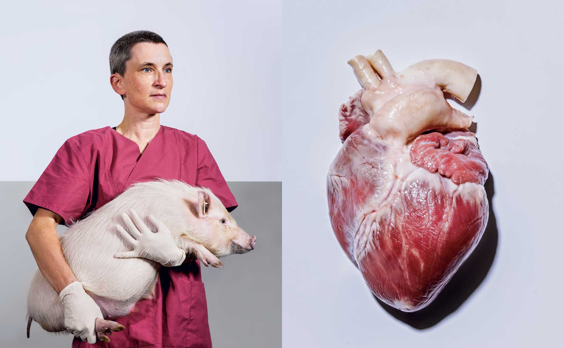 La Niña Del Corazón De Cerdo (Serie De Tv) (2022) - Filmaffinity