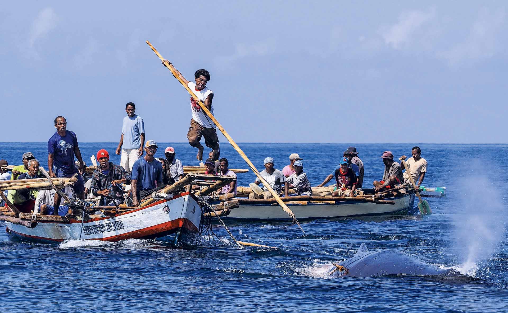 balleneros-caza-ballenas-arpon-indonesia-cultura.jpg