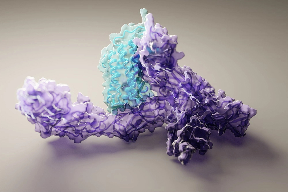 Tecnología para la Química Rosettafold-proteina-1