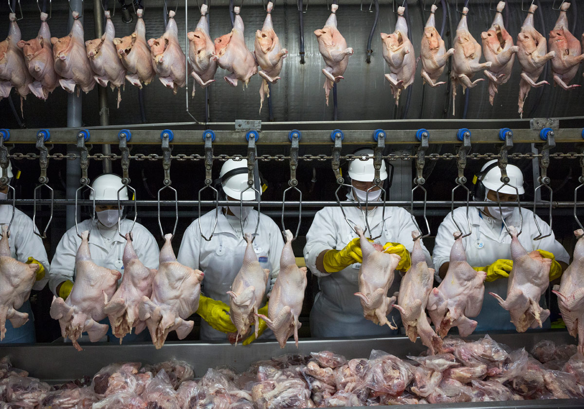 Planeta insaciable: cómo garantizar la producción de alimentos