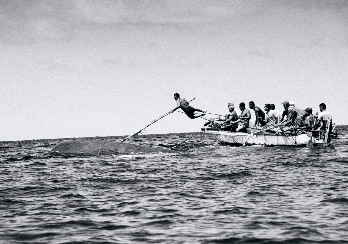 Capitanes Ahab: los balleneros que cazan como hace 600 años