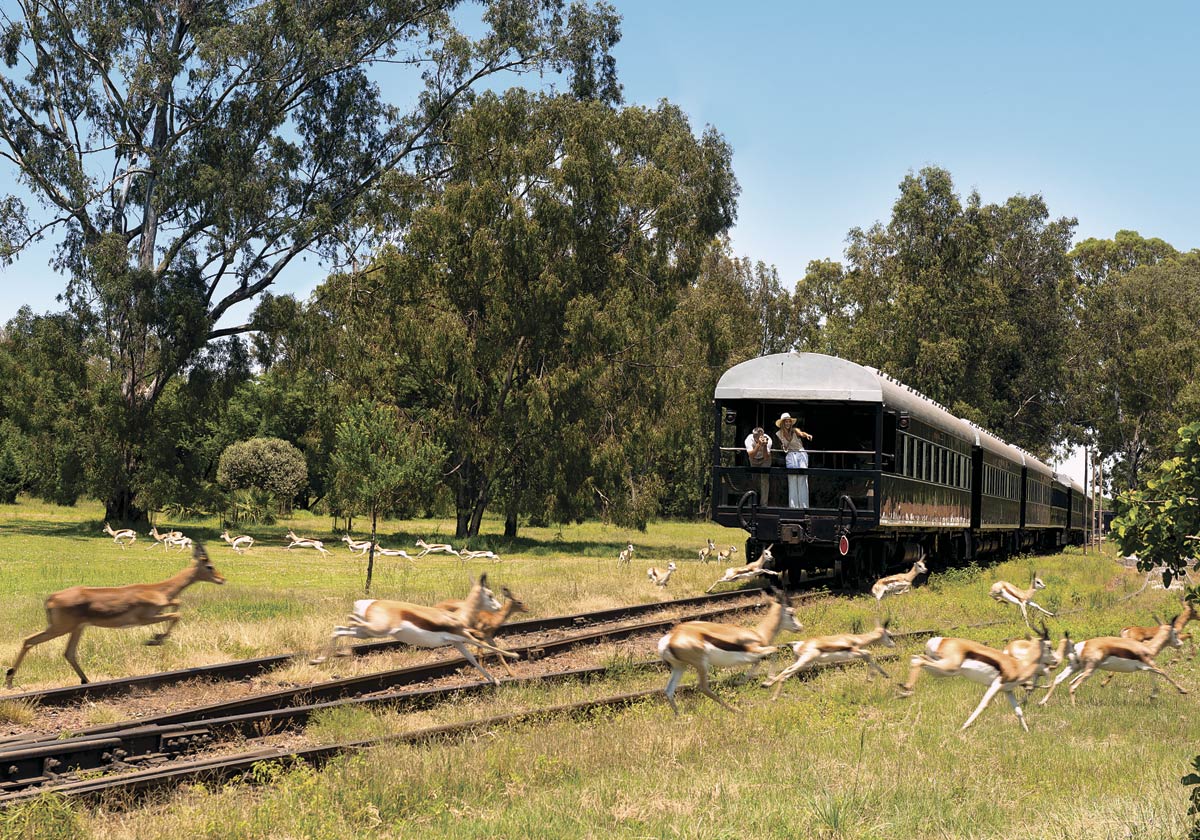 El tren más lujoso del mundo (por dentro y por fuera)