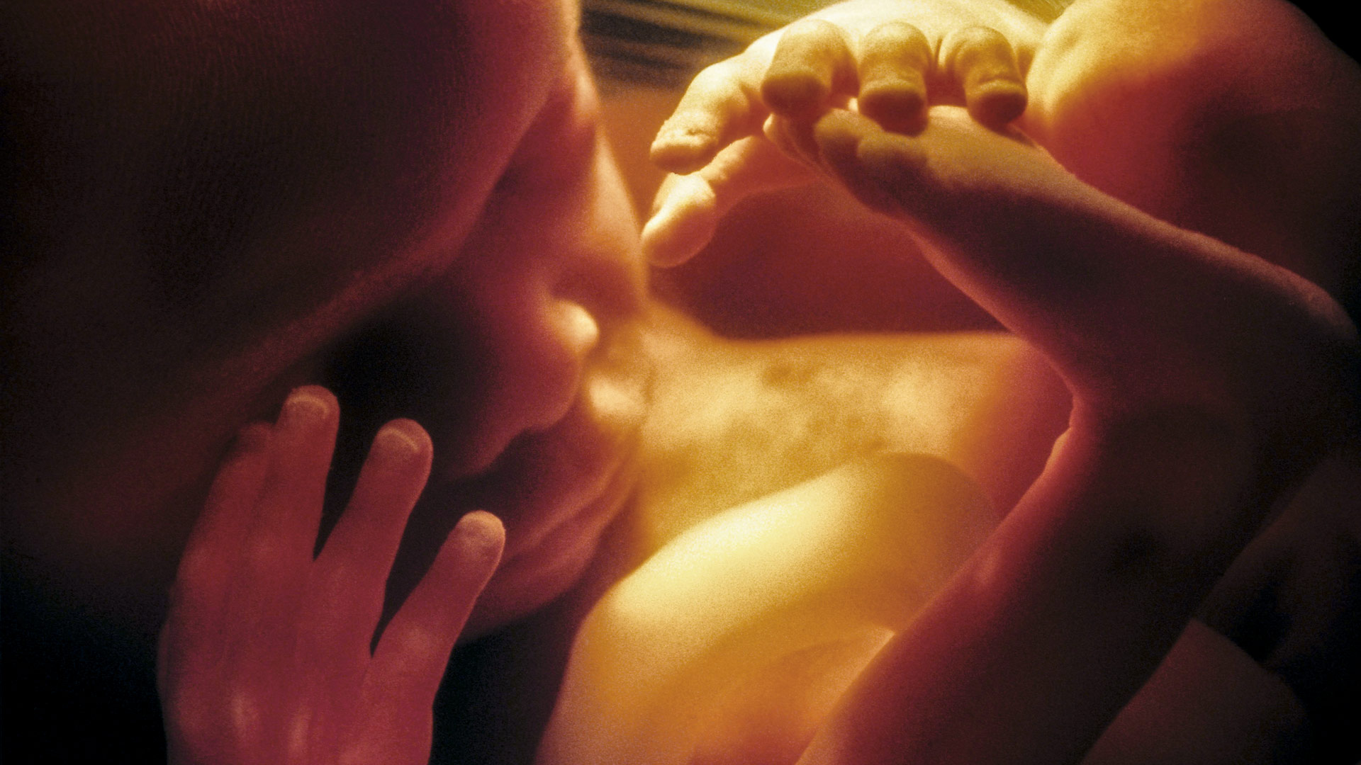 Relájate, mamá: cómo afecta el estrés a la gestación del bebé