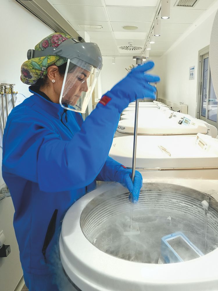 Embriones en el limbo: el dilema ético y legal de la reproducción asistida