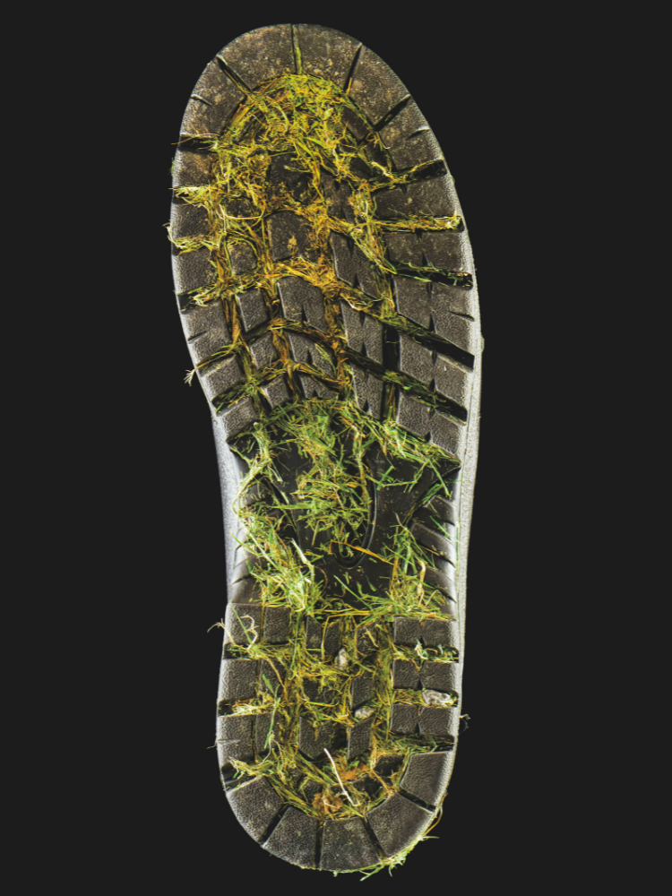 La huella de carbono es una trampa creada para que te sientas culpable