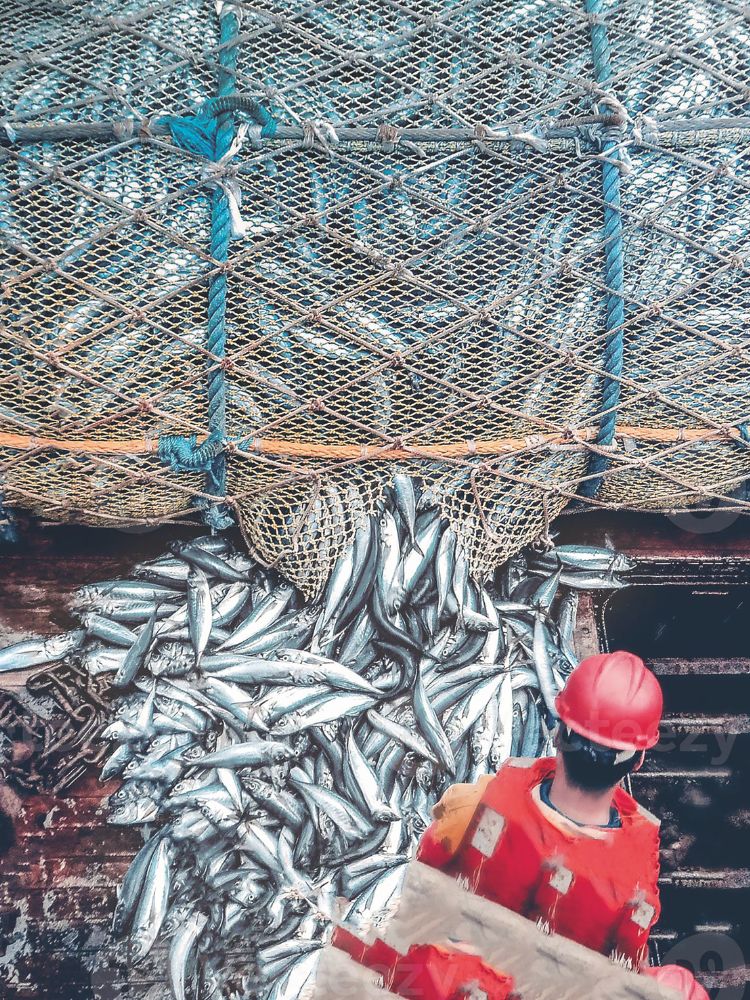 La red más inteligente del mundo no es Internet